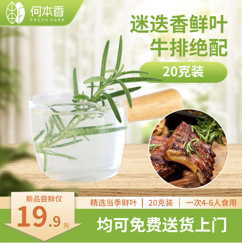 食用迷迭香鲜叶